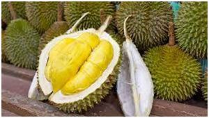 Jual Buah Durian Menghiasi Di Sejumlah Jalan Daerah Provinsi Jambi