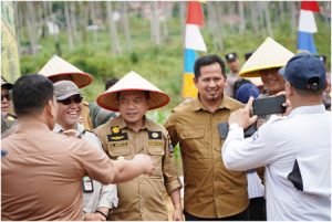 Untuk Mendukung Swasembada Pangan, Jambi Menanam Bibit Jagung