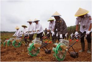 Sekda Jambi Dan Dirut PTPN IV, Turut Serta Tanam Bibit Padi Gogo